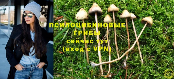 гашик Абинск